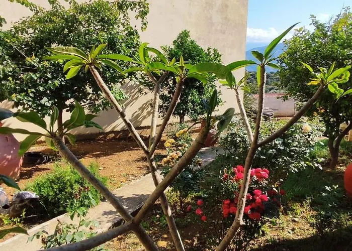 Village House With A Nice Garden