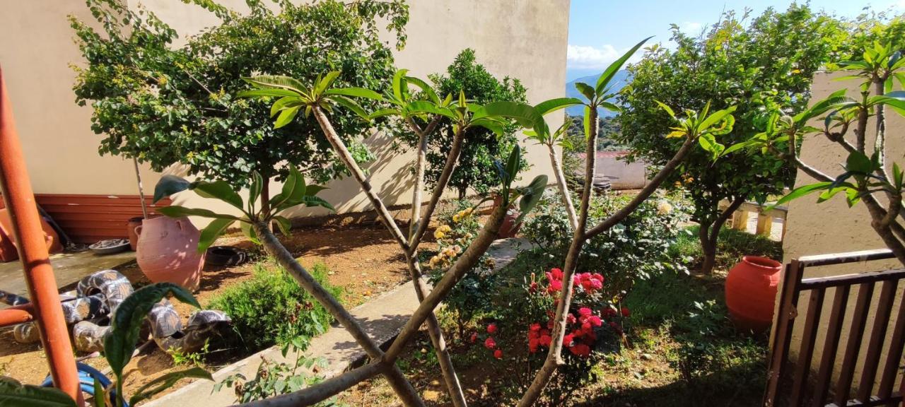 Апартаменты With A Garden